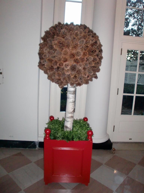 White House Christmas 2009 015.jpg